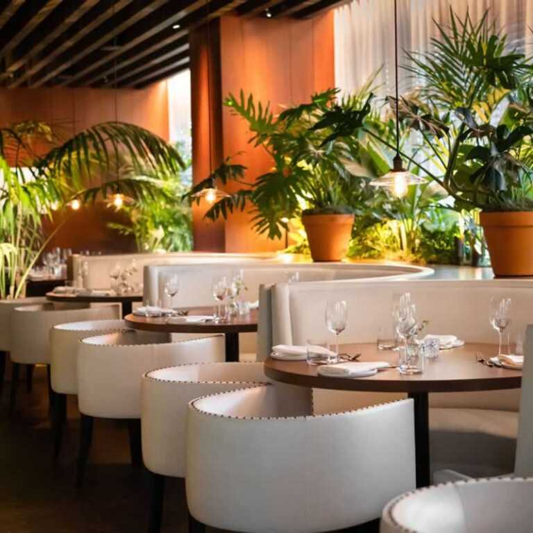 5 Simple Tips to Improve the Appearance of Your Restaurant