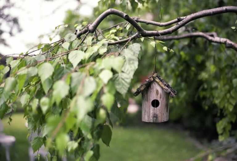 Birdhouse on the tree