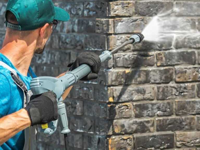 What do professional house washers use