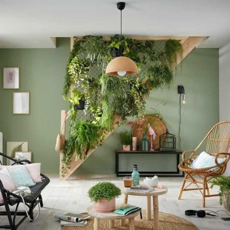Climbing plants in living room