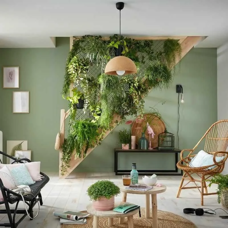 Climbing plants in living room