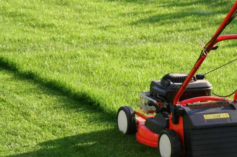 Mowing the lawn