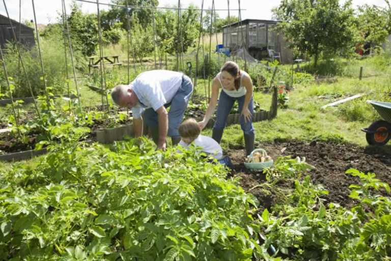 Family in the garden