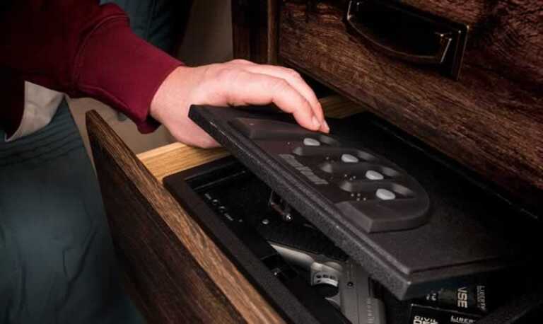 Gun in the gun safe