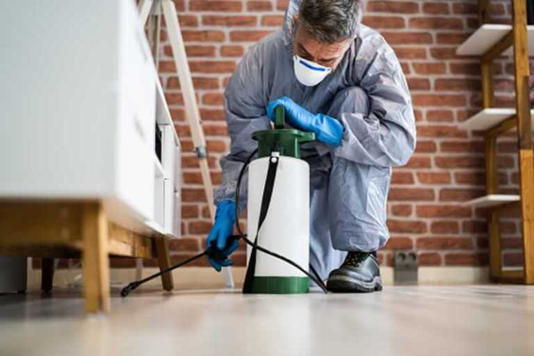 Pest control