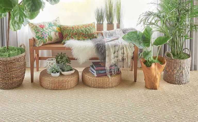 various types of plants in home decor