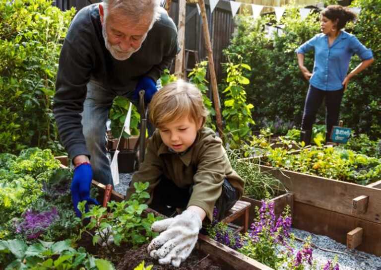 man and grandson gardening