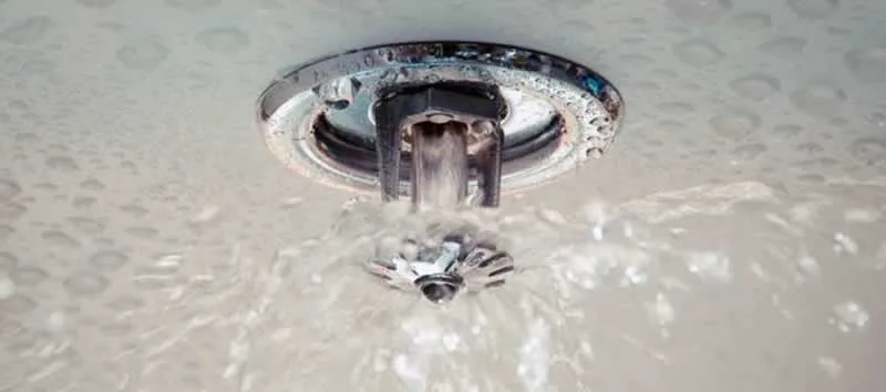 fire sprinkler