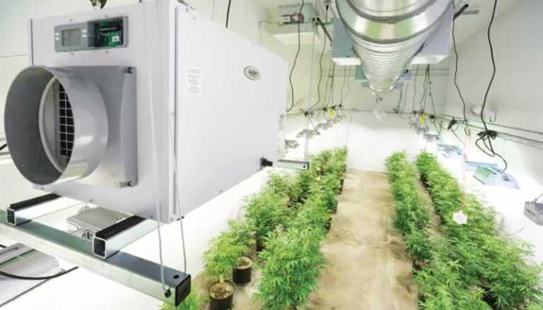 hvac for cannabis