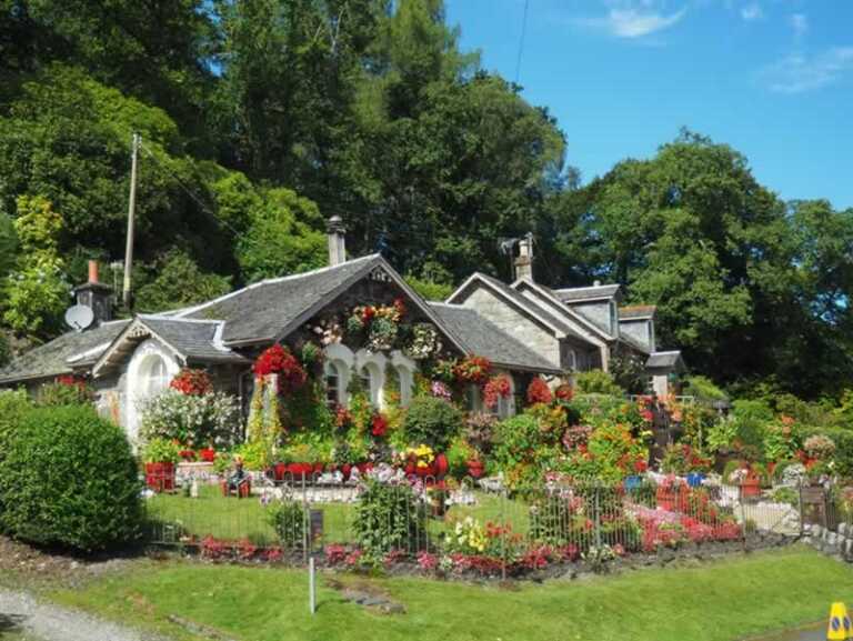 beautiful garden