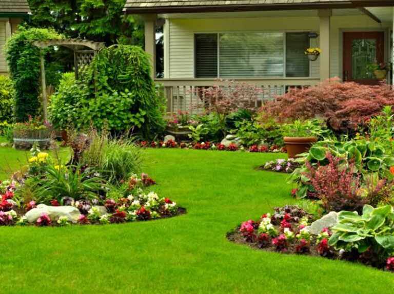 amazing front yard