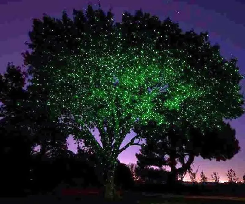 lights on tree