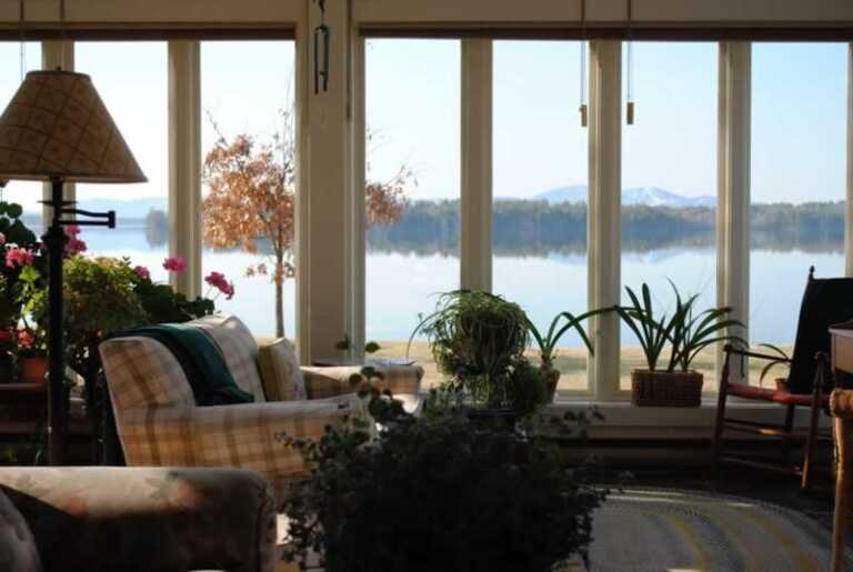 sunroom with plants