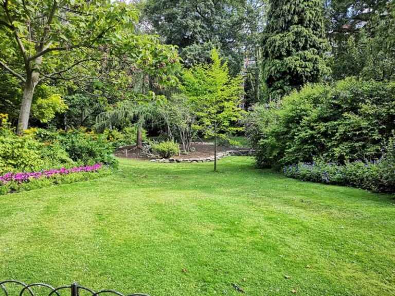 plants in garden
