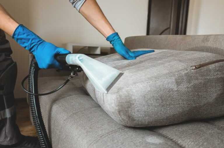 cleaning the bed