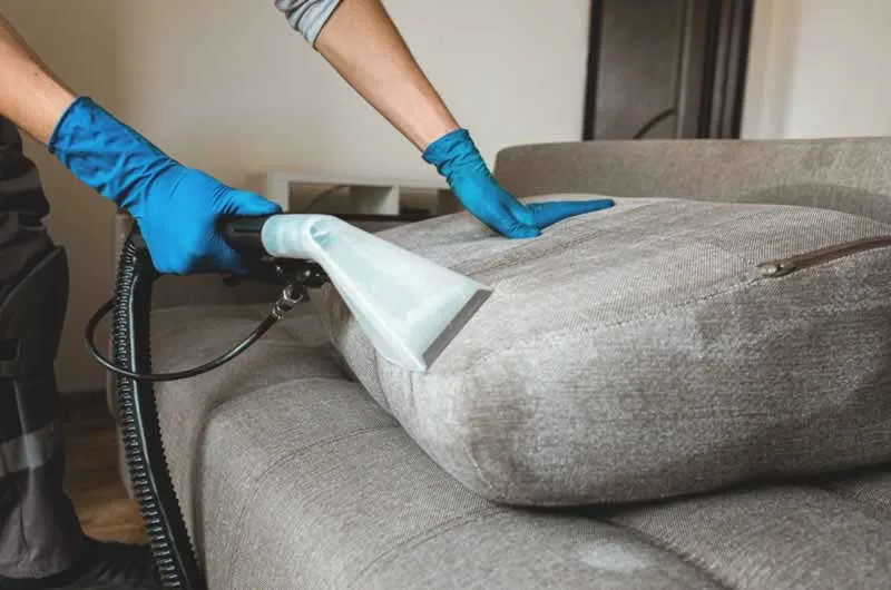 cleaning the bed