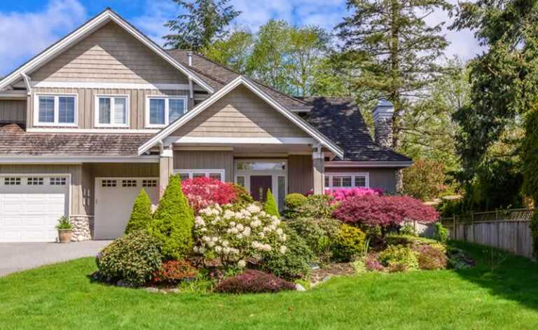 beautiful front yard