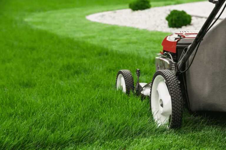 mowing the lawn