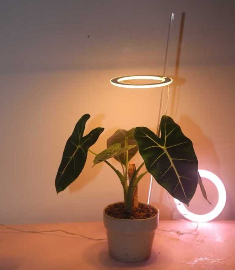 grow lights