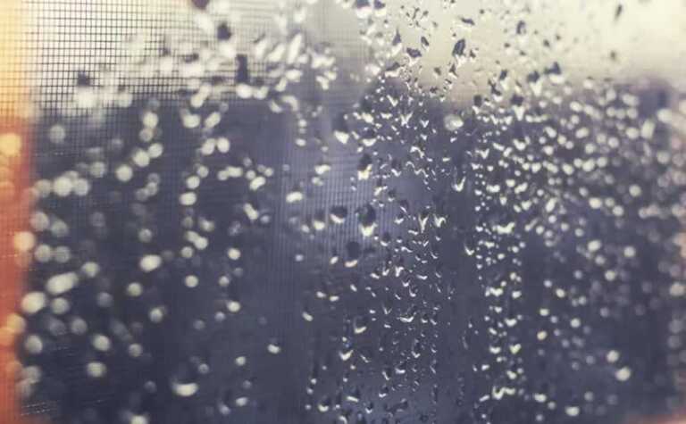 moisture on window