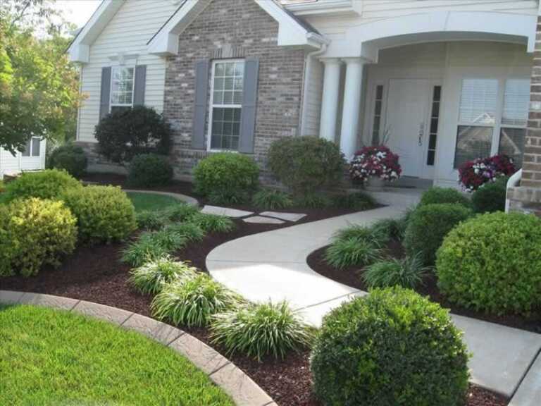 front yard