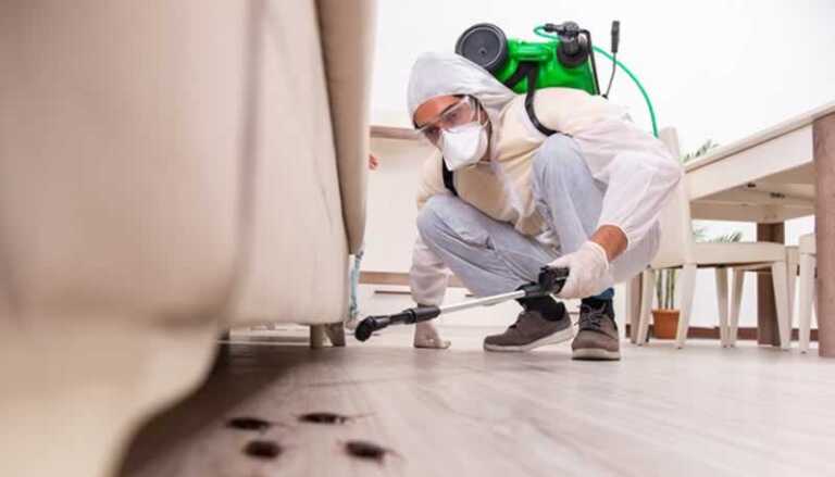 pest control