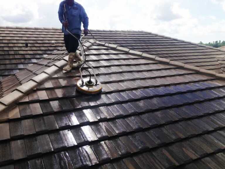 roof cleaner