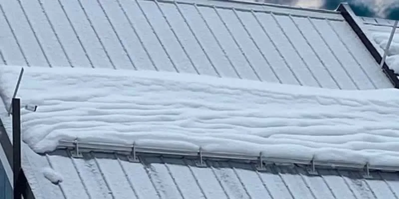 snow guard