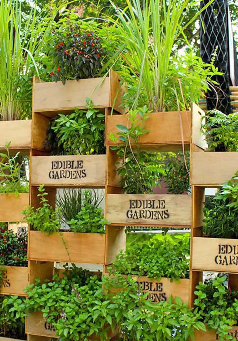vertical garden