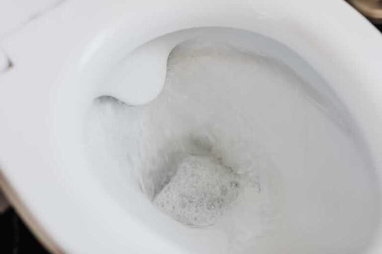 flushed toilet