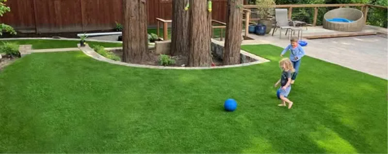 artificial lawn