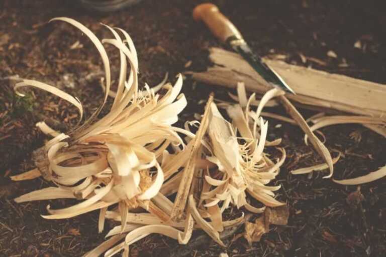 woodoworking chisel and shavings