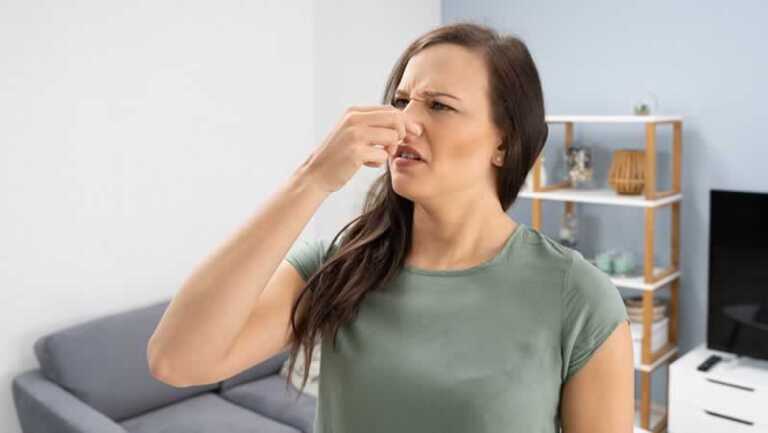 bad smell from AC