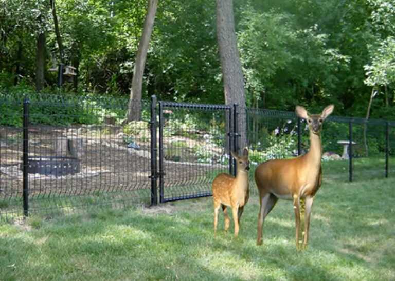 wildlife and garden fence