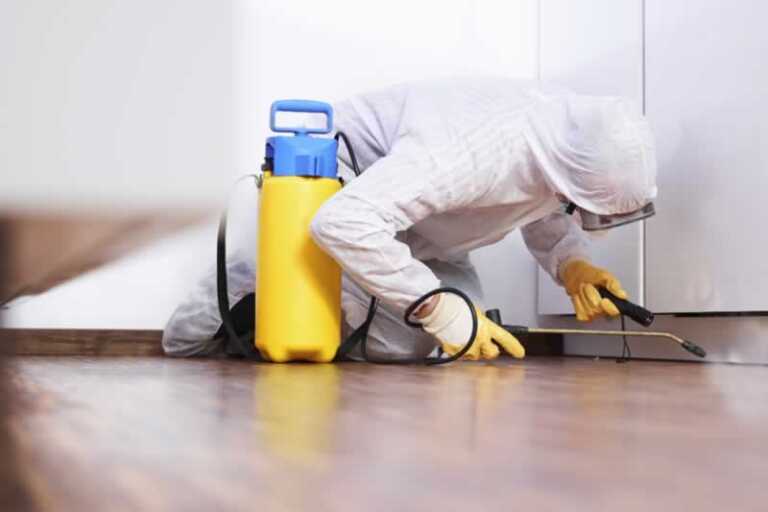 spraying pests