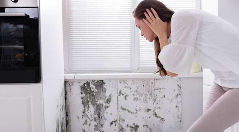 mold under the window