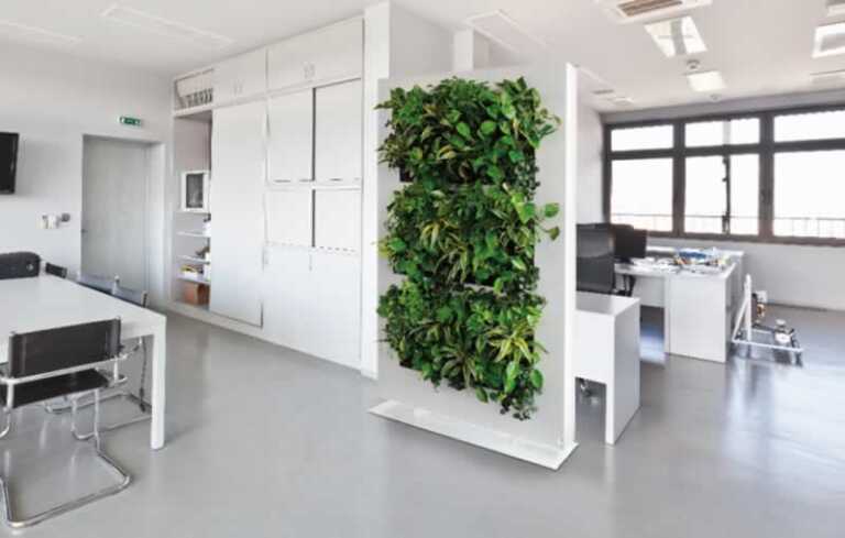 green wall in the living room