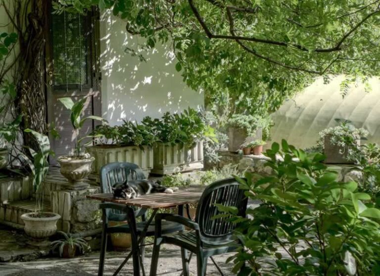 nice backyard garden