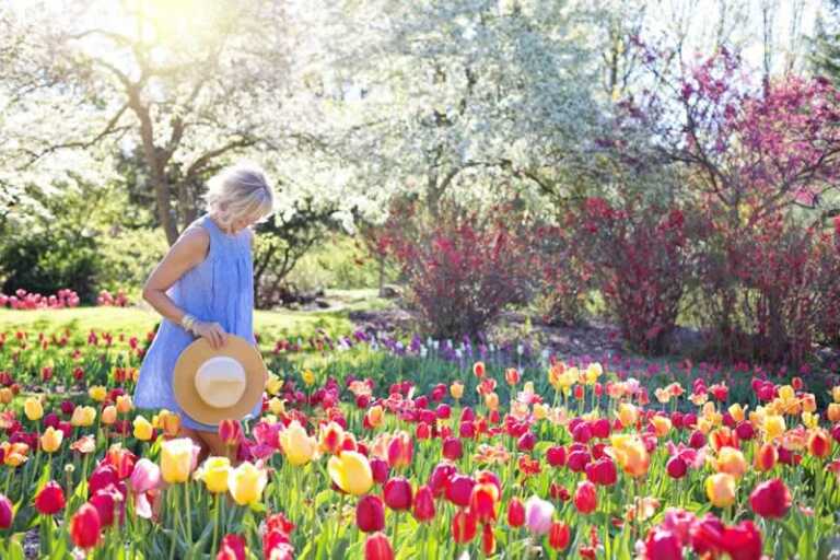 woman in garden full of flowers