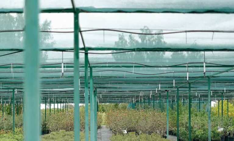 shade cloth in the garden