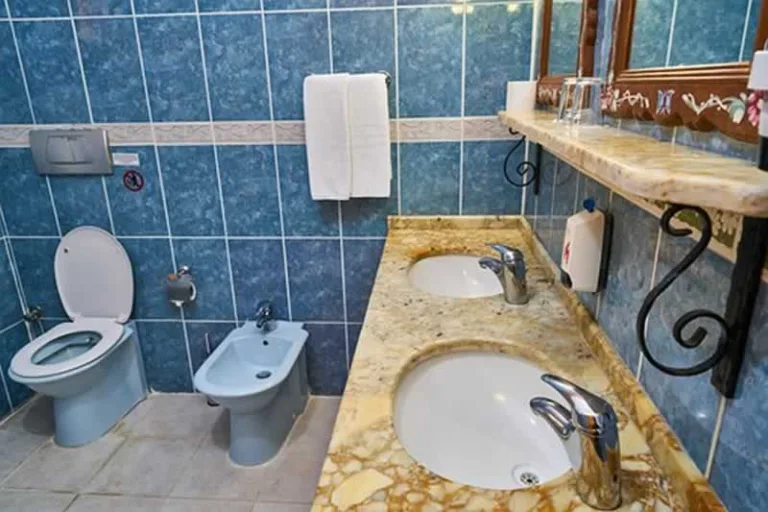 toilet