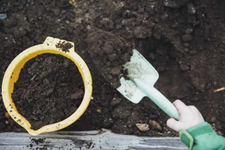 garden soil