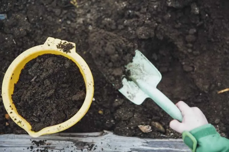 garden soil