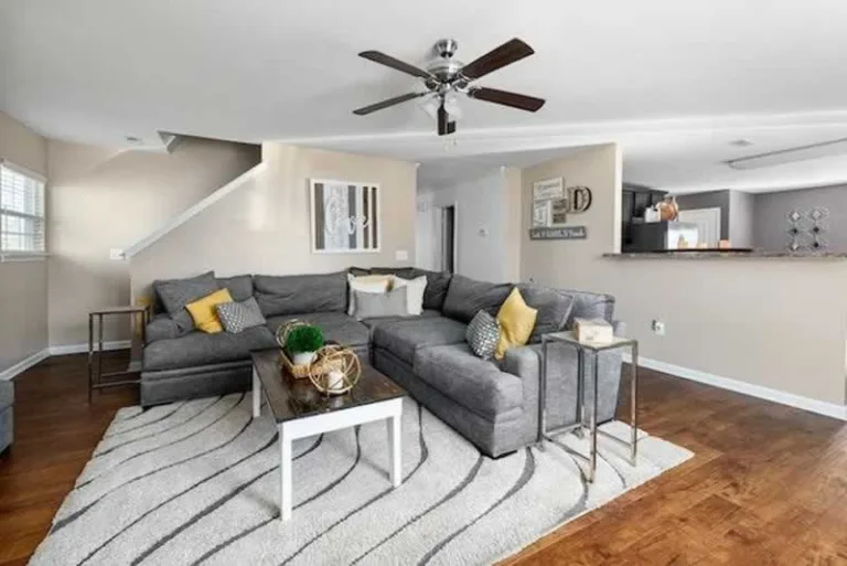 ceiling fan in the living room