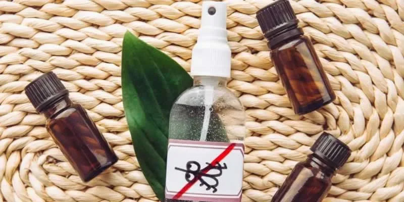 DIY pest control
