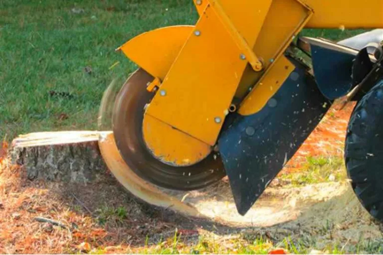 stump grinding machine