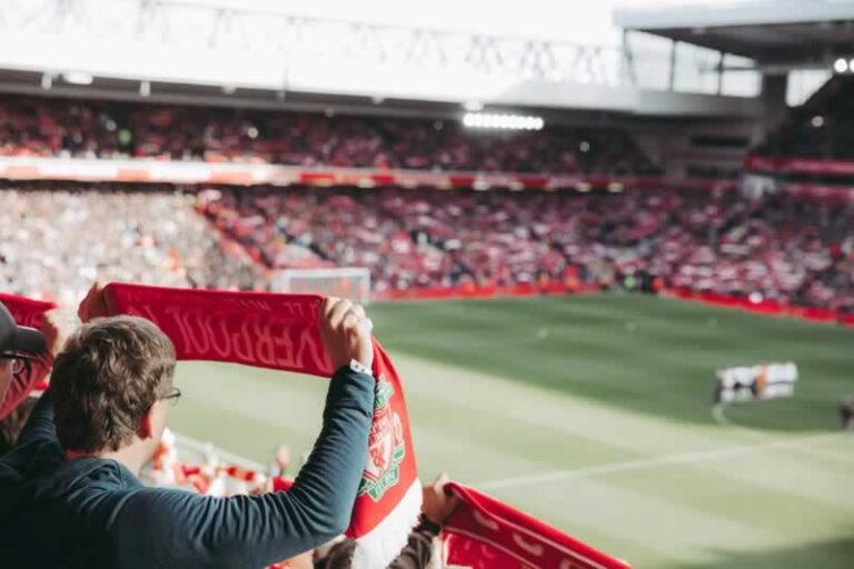 fans on the stadium