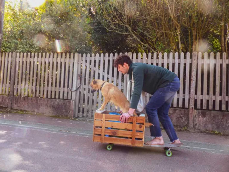 dog crate on skateboard