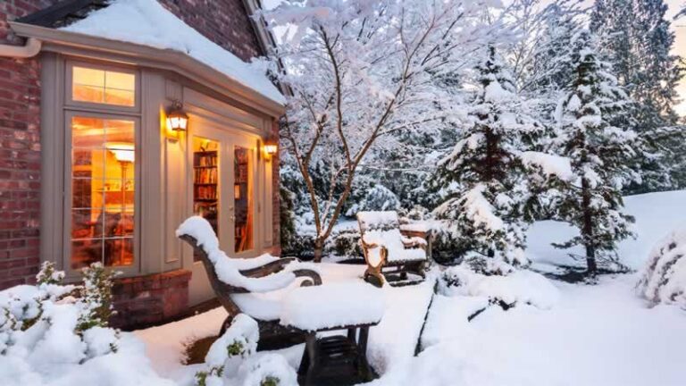 backyard in the snow