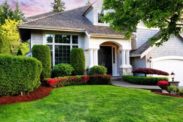 beautiful front lawn